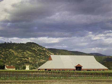 Serendipity Rising Napa Valley Barn Tour