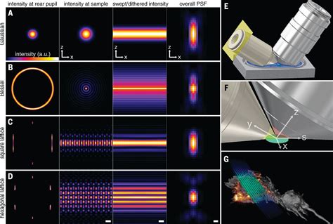 Lattice Light Sheet Microscopy Imaging Molecules To Embryos At High