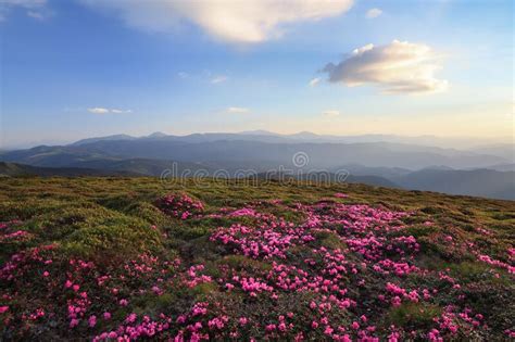 Spring Scenery Beautiful Sunset And High Mountain Panoramic View In