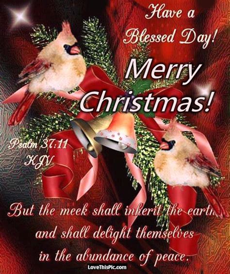 Have A Blessed Day Merry Christmas Pictures Photos And Images For