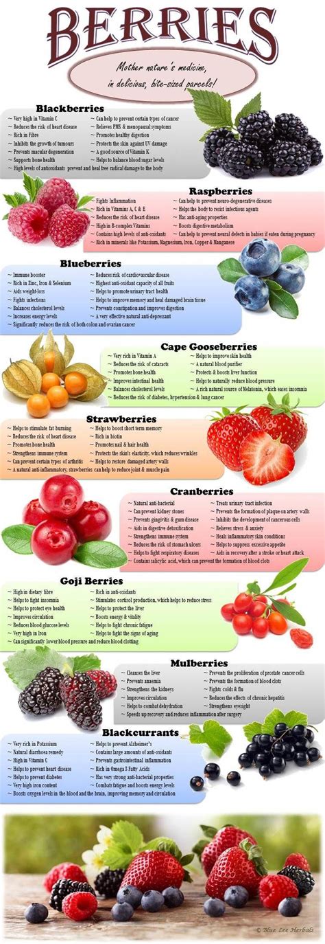 The Benefits Of Berries Benefits Of Berries Berries Gooseberry Benefits