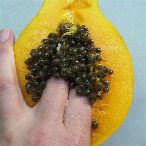 We Can’t Stop Looking At These Extremely Sexual Photos Of Fruit Mother Jones