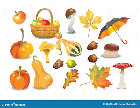 Set Of Autumn Objects Pumpkins Different Types Mushrooms Umbrella