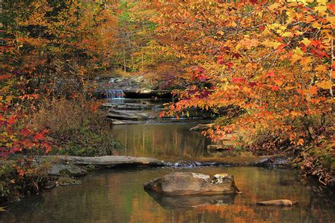 Autumn Creek In Shawnee National Forest Photograph By Greg Matchick