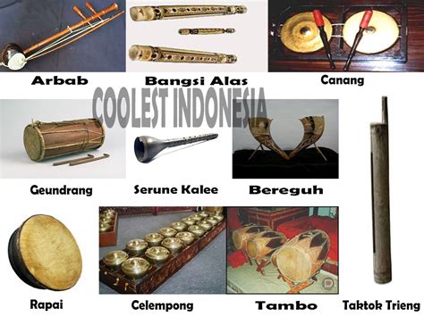 Complete List Of Traditional Musical Instruments And Folk Songs On The