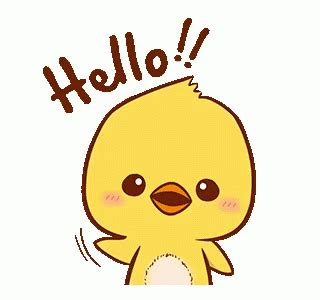 Hello Hi GIF Hello Hi Duck Descubre Y Comparte GIF