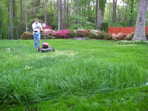 You can check it by digging up a small core of turf and soil and see how far down the water. Turn A Bare Patchy Yard Into A Lush Lawn With A Few Tips And Tricks