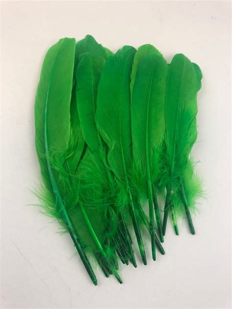 Right Side Wing Green Feathers Duck Quills 50pcs Etsy