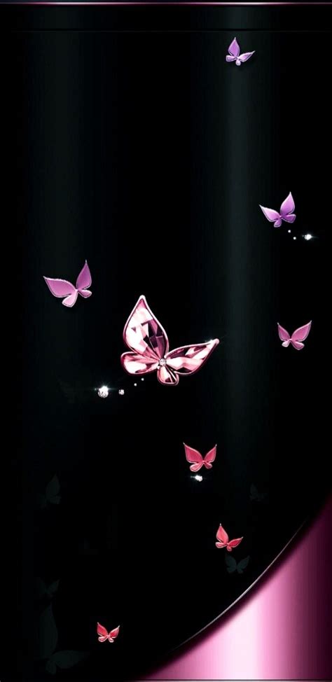 Wallpaper Pink And Black Butterflies Butterfly