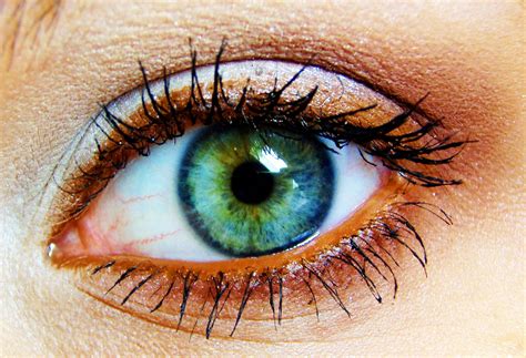 Maybe you would like to learn more about one of these? Silver eye shadow with dark reddish brown in outer V ...