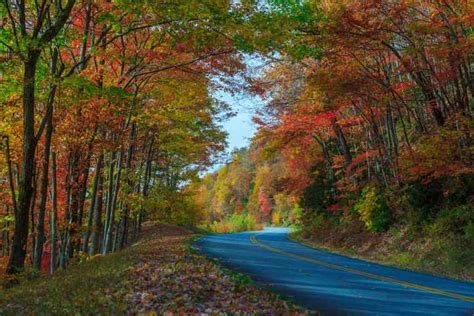 Scenic Drives For Fall Color In The North Carolina Mountains And