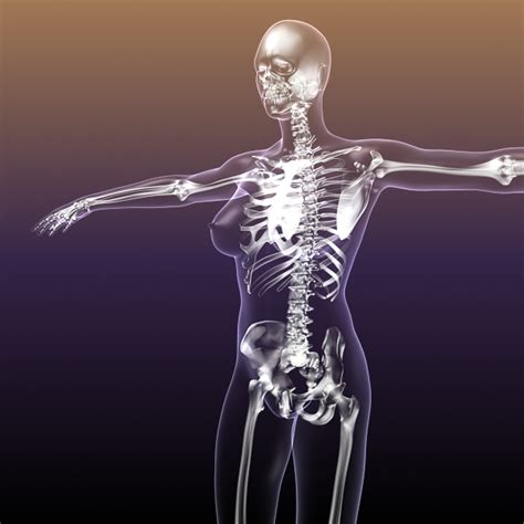 Female Skeleton Inside Woman Body 3D Model FlatPyramid