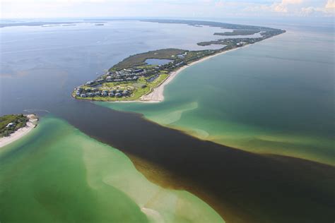 Environmental Monitor Florida Estuary Water Too Fresh For Seagrass
