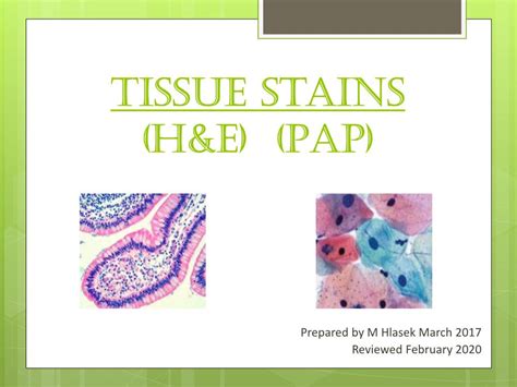 PAP Stain For Cytology Principle Of The H E Stain DocsLib