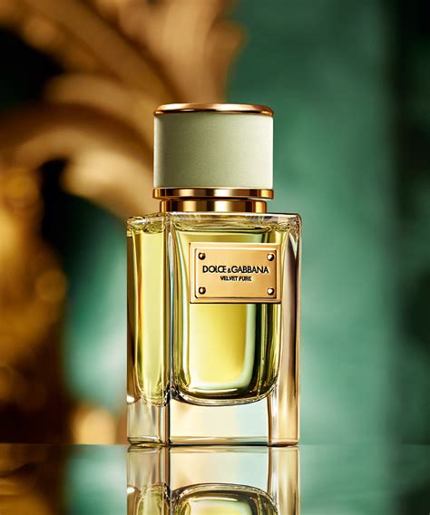 Velvet Pure Dolceandgabbana Perfume A New Fragrance For Women 2016