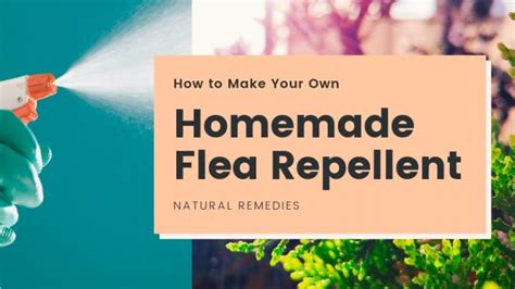 How To Make Your Own Homemade Flea Repellent Fleabites