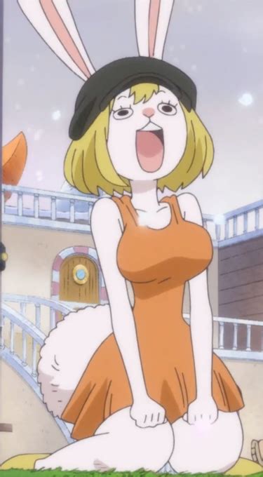 Image Carrot Orange Dresspng One Piece Wiki Fandom Powered By Wikia