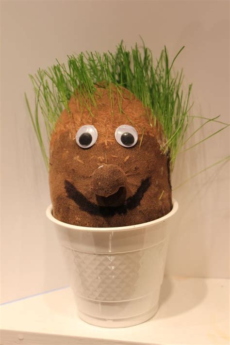 Make Your Own Grass Head Kids Craft Summer Crafts For Kids Kids