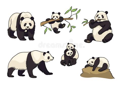 Set Of Pandas Vector Illustration Stock Vector Illustration Of