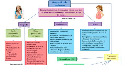 Blog De Ginecología Diagnostico De Embarazo