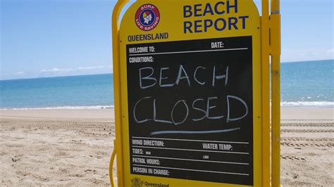 Beach Community In Shock After Teenager Dies From Box Jellyfish Sting