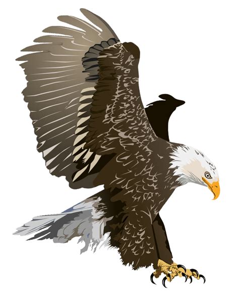 Bald Eagle Free Eagle Clip Art Pictures 3 Clipartix
