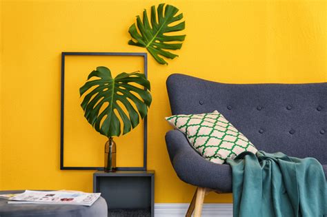 Buy flowers near me to plant. SOLVED: Where Can I Buy Indoor Plants Near Me? | Home Logic®