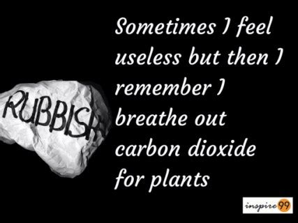 Searching for the most famous quote of all time? Quote Of The Day: Sometimes I Feel Useless But Then I remember I Breathe Out Carbon Dioxide For ...
