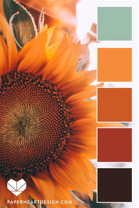 Color Palette Fall Sunflower Color Palette Design Color Schemes