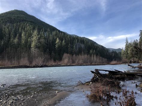 South Fork Skokomish River Wa Was At Flood Stage And Gorgeous This