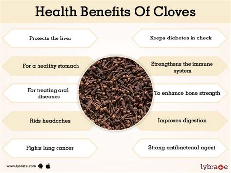 Benefits Of Cloves And Its Side Effects Lybrate