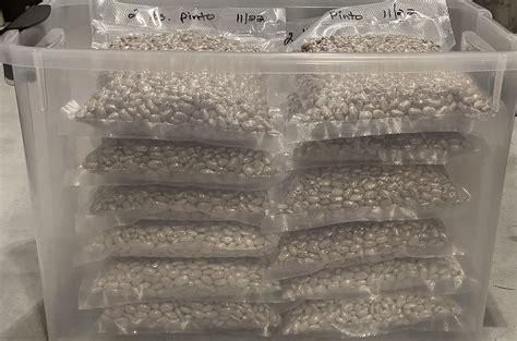 Vacuum Seal Rice And Beans For Long Term Storage