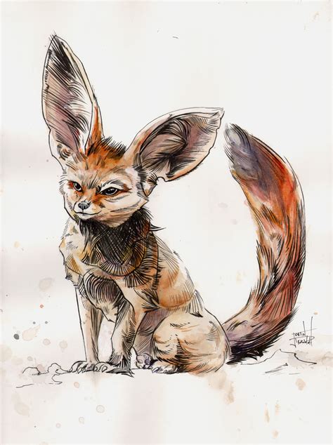 Fennec Fox Ink And Watercolor By Justinprokowich On Deviantart