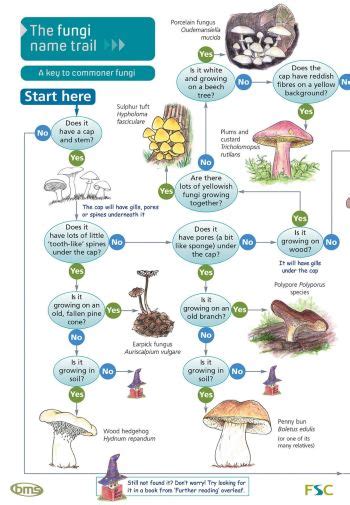 Insect Identification Charts Watkins And Doncaster