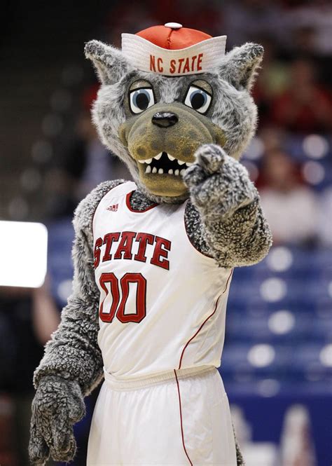 H Nc State Mascot Nc State Wolfpack