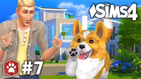 Ein Corgi Für Jonas Lets Play Die Sims 4 Hunde And Katzen 7 Youtube