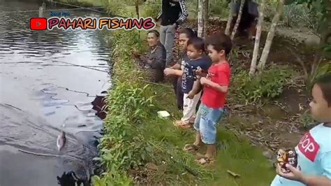 Mancing Ikan Nila Di Kolam Bersama Bocil Youtube