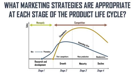 Explain product life cycle, and marketing strategies adopted at different stages. What Marketing Strategies are Appropriate at Each Stage of ...
