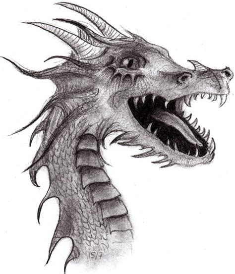 Free Dragon Drawing Download Free Dragon Drawing Png Images Free