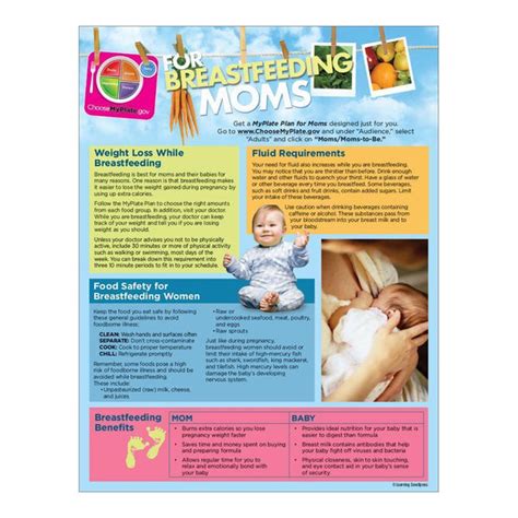 Myplate Breastfeeding Nutrition Handouts Dietary Guidelines Visualz