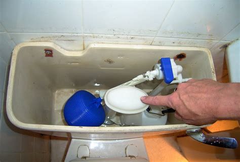 Changing Toilet Cistern Parts Reviewmotors Co