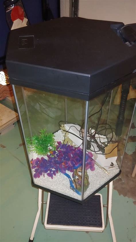 Like New 20 Gallon Hexagon Aquarium For Sale In Naples Fl Offerup