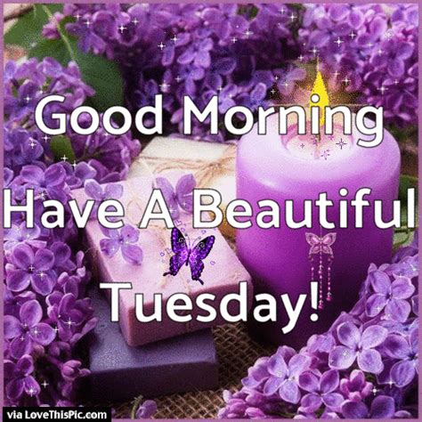 Happy Tuesday Quotes  Shortquotescc