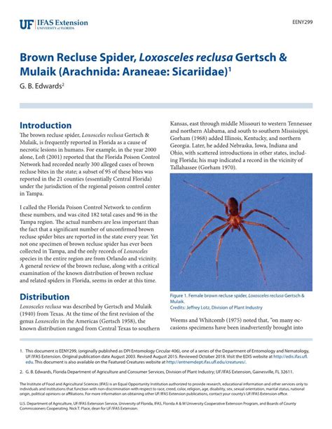 Brown Recluse Spider Loxosceles Reclusa Gertsch And Mulaik Arachnida
