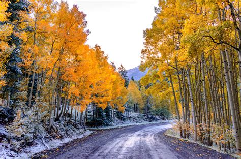 890321 4k 5k Aspen Colorado Usa Forests Roads Autumn Trees