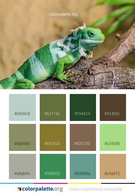 Reptile Scaled Lizard Color Palette