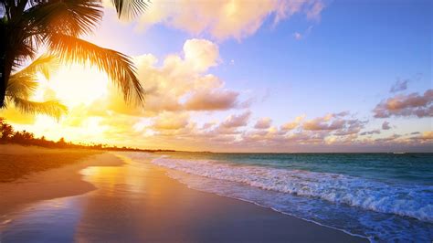 Tropical Beach Sunrise Backiee