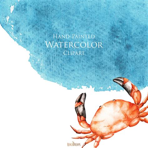 Nautical Watercolor Clipart Marine Ocean Individual Png Etsy