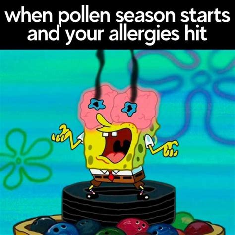 20 Best Pollen Memes To Help You Laugh Through The Sneezes