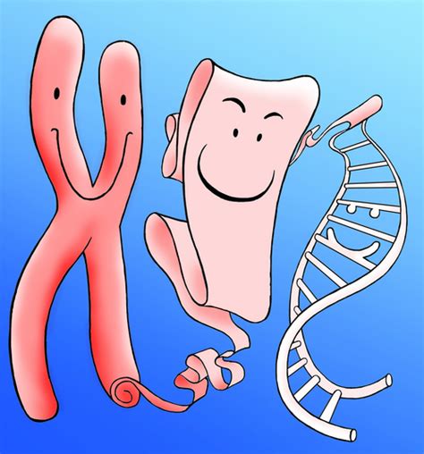 Huntington's disease (hd), also known as huntington's chorea, is a neurodegenerative disease that is mostly inherited. Huntington's Disease Youth Organization - Jóvenes - El gen ...